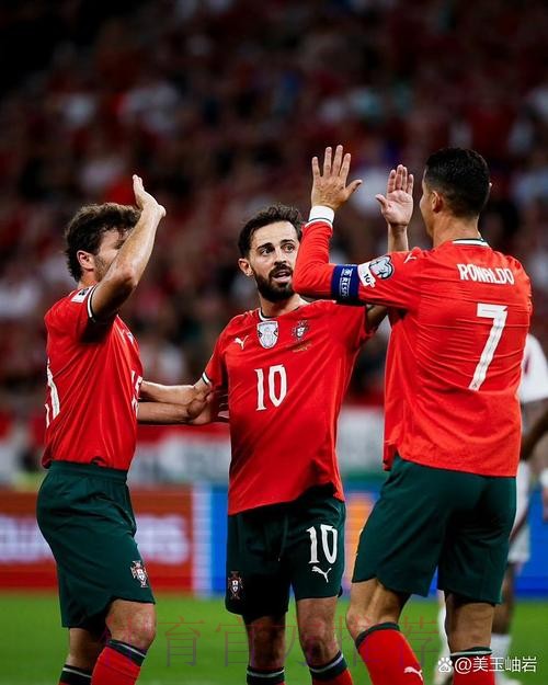 2026世界杯法国C罗比赛解读全面分析